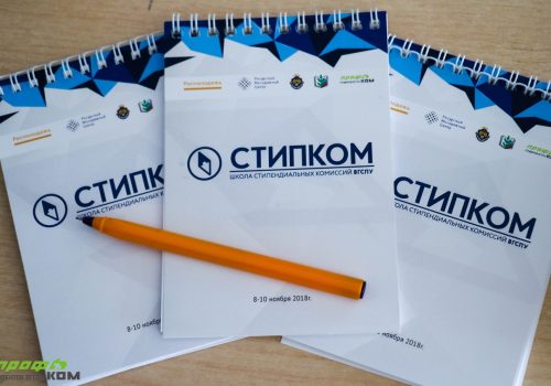 Школы стипендиальных комиссий ВГСПУ «Стипком»